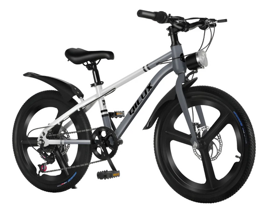 Bicicleta de Montaña Rodado 20 – 7 Cambios Shimano + Frenos de Disco – Gris