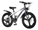 Bicicleta de Montaña Rodado 20 – 7 Cambios Shimano + Frenos de Disco – Gris