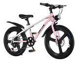 Bicicleta de Montaña Rodado 20 – 7 Cambios Shimano + Frenos de Disco – Rosa
